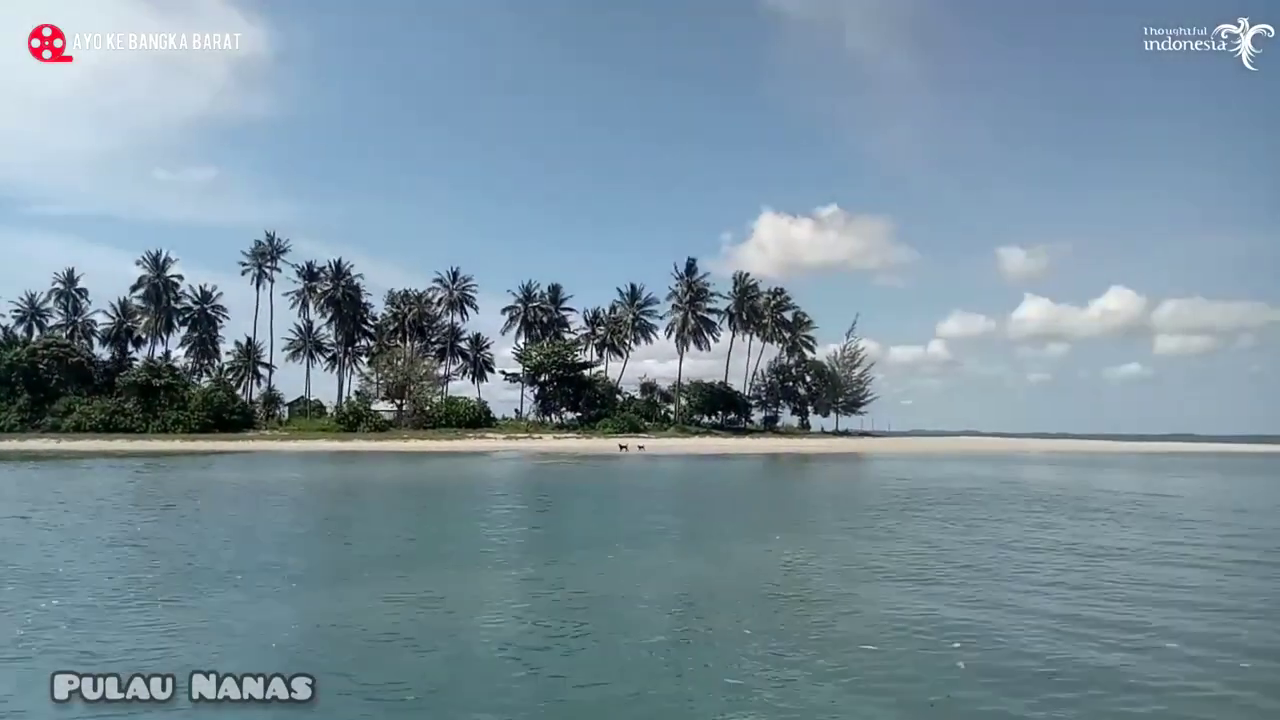 Pulau Nanas